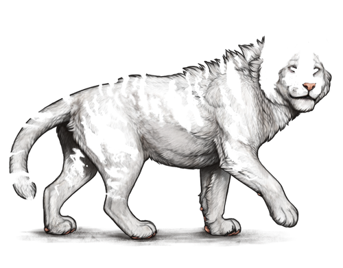 IMG 0405.png