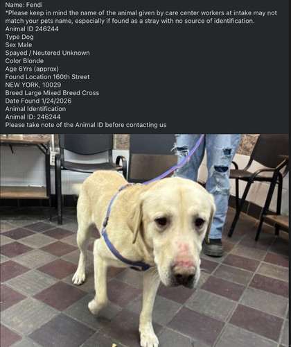 G e1iKZW4AA8IMr?format=jpg.jpg