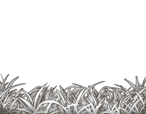 Grass White Full.png