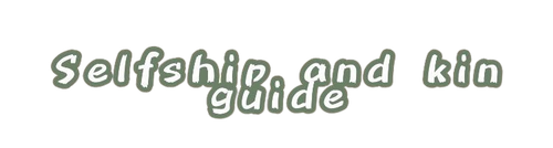 title removebg preview.png