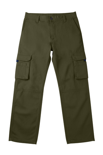 Olive 1.1.jpg