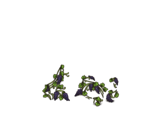 GrapesPurple Lipo full.png