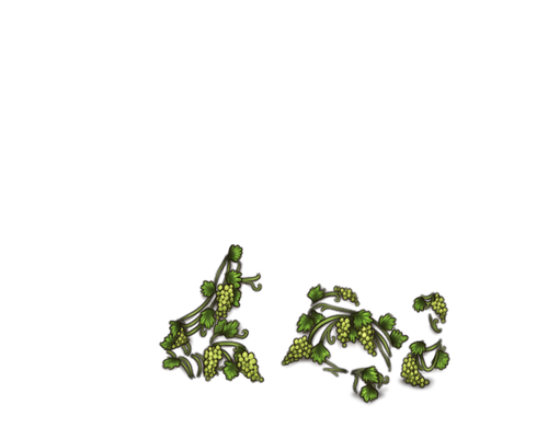 GrapesGreen Lipo full.png