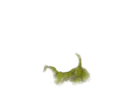 Mossy Conj full.png