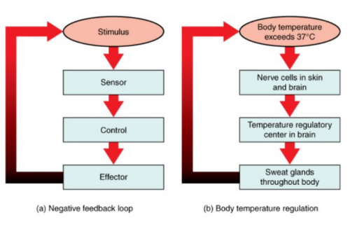 {2F562954 2ECE 4872 81A6 83C5A89C9107}.png