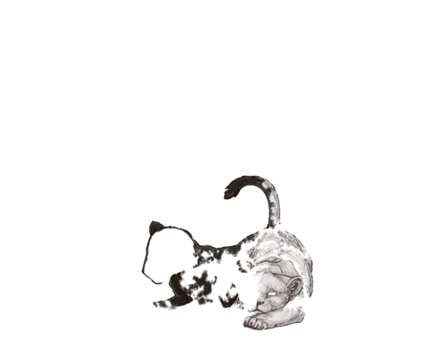 UnevnHarle Conj Full.png