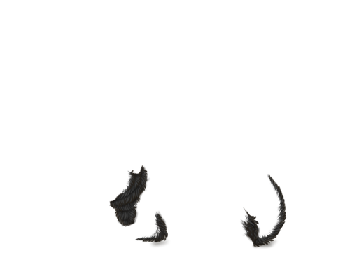 LipoFluff black full.png