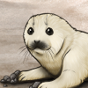 Seal Arctic Icon.png