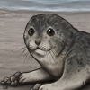 Seal Harbor Icon.png
