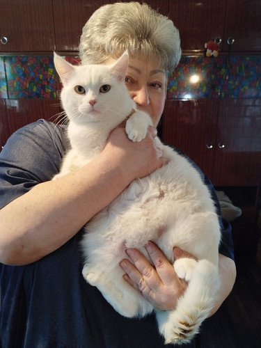 G hTldcWoAAvNfA?format=jpg.jpg