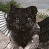 TwoHeadWings Lwhiteblack Icon.png