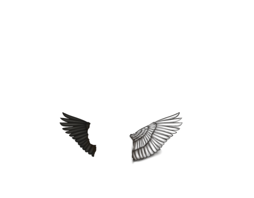 TwoHeadWings Rwhiteblack full.png