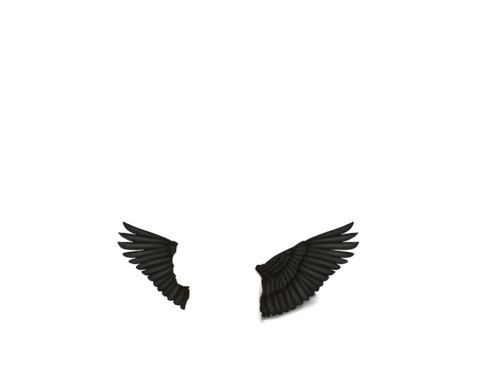 TwoHeadWings black full.png
