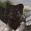 TwoHeadWings Rwhiteblack Icon.png
