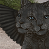 TwoHeadWings black Icon.png
