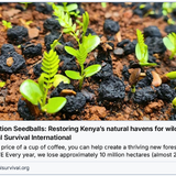 G icxFoXMAANoZs?format=png.png