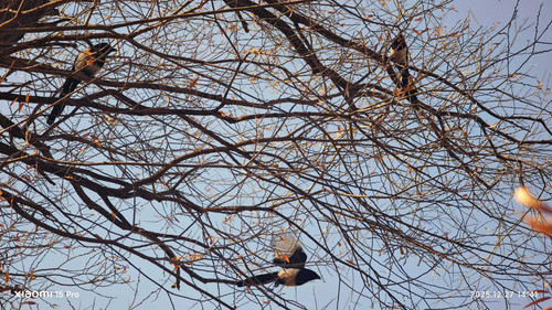 sm7jx aXnozQvzyMIzcVfDvl.jpg