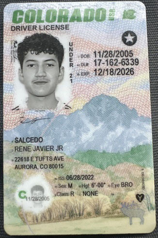 Rene Javier Salcedo license image.jpg
