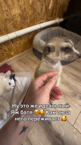 cpwvxWJSvDGwbrCz.jpg