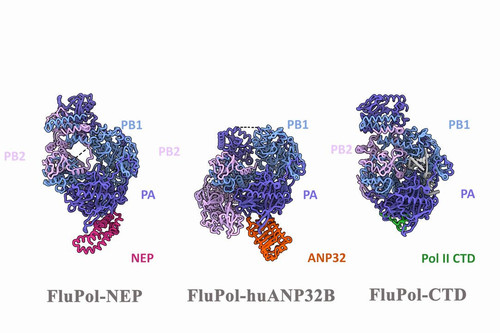 oqtQF1PYJWHSfm 0.jpg