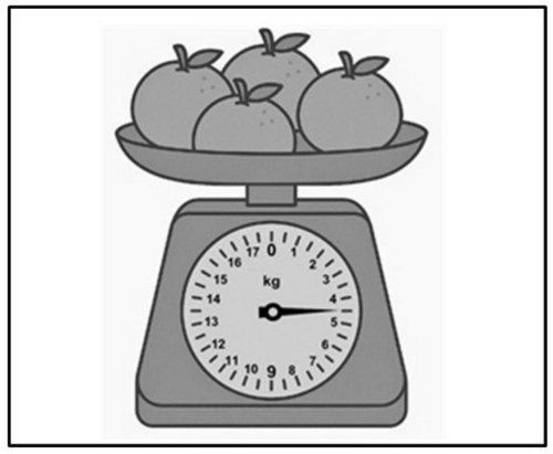 WhatsApp Image 2026 01 23 at 21.45.29.jpg