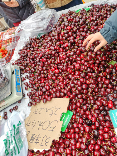 IMG 20260125 133333.jpg