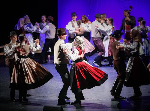 617553474 1335617675037232 6200277290942864608 n.jpg?stp=dst jpg s590x590 tt6& nc cat=110&ccb=1 7& n.jpg