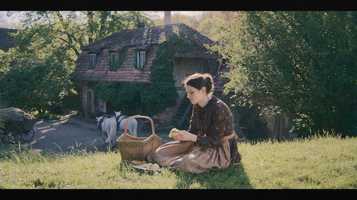 Franz.2025.1080p.NF.WEB DL.CZ.DD+5.1.x264 My.mkv 20260125 174331.634.jpg