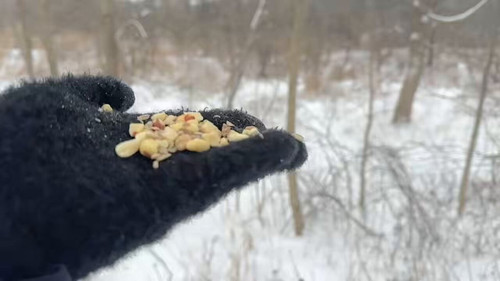 pCjXr9x03 WJvFRK.jpg