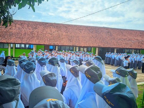 67098.jpg