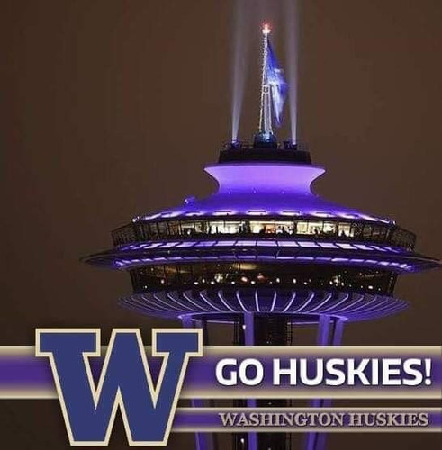 huskiesneedle.jpg