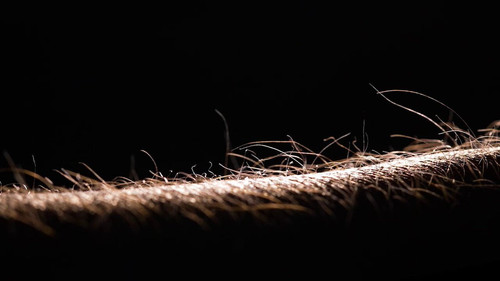 cVNgomOE5 BuuZjE.jpg