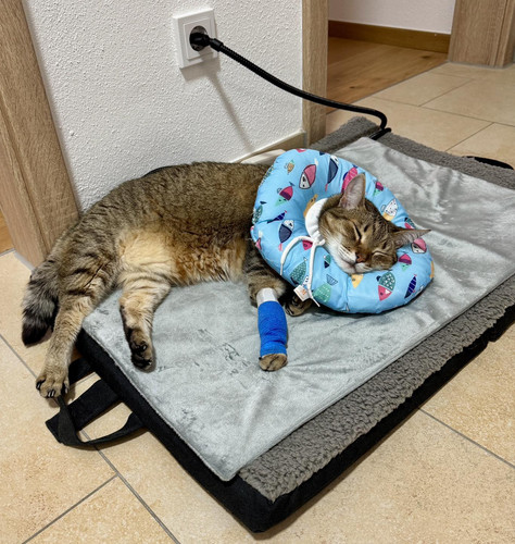 617368294 1445458370486559 5443836824299139320 n.jpg