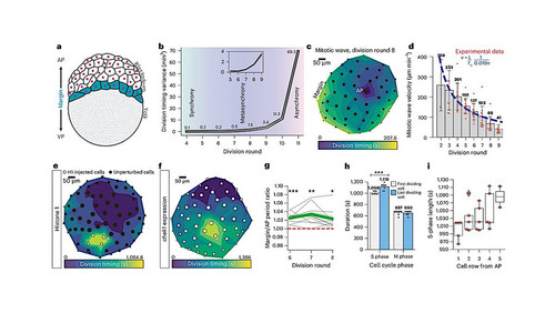 G h9 ZbXIAEqR9K?format=jpg.jpg