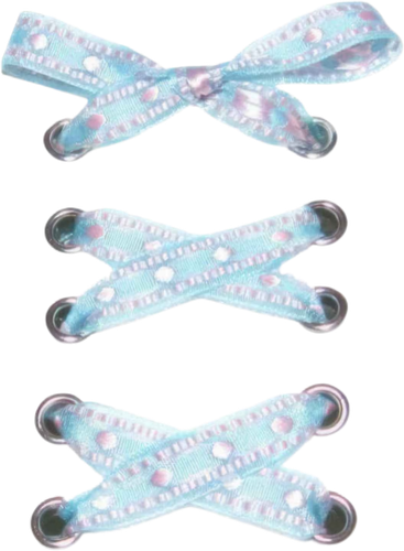 IMG 7330.png