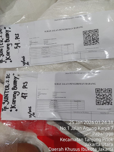 WhatsApp Image 2026 01 25 at 01.34.32.jpg