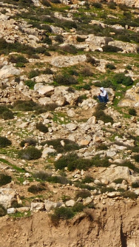 المستوطنون يواصلون سيطرتهم على جبل "عين عينيا" بين قريتي تلفيت وقصرة جنوب نابلس....