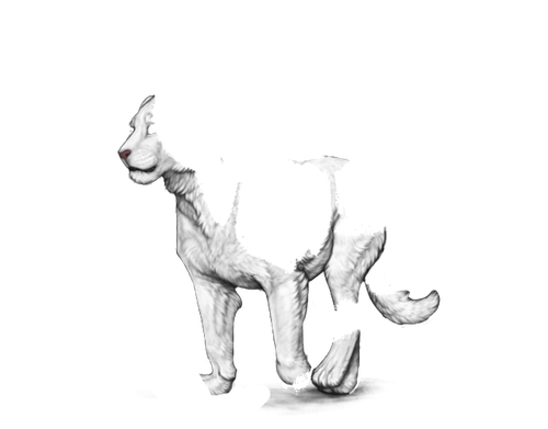 1000010447.png