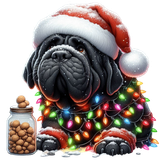 Hunde Weihnachten (4)