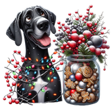 Hunde Weihnachten (11)