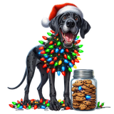 Hunde Weihnachten (15)