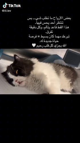 Y4cIc6Lg5bh6gOyI.jpg