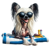 Chinese Crested Strand (6)