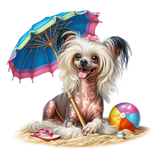 Chinese Crested Strand (3)