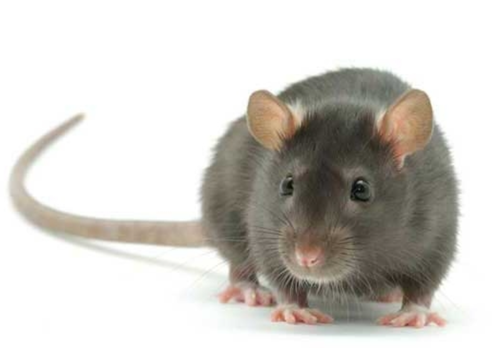 2026 01 25 23 12 04.png