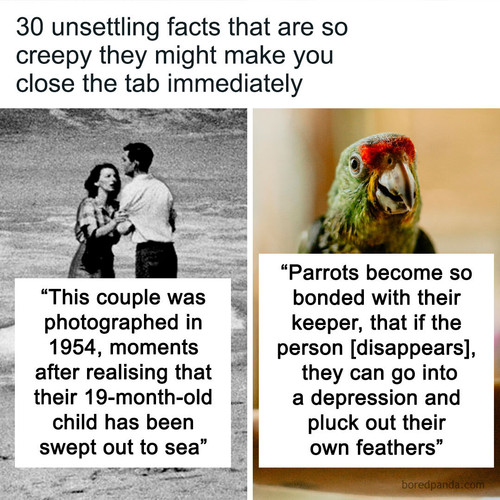 terrifying facts scary.jpg