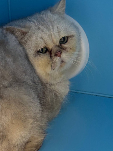 G lXp8oWkAAqF1i?format=jpg.jpg