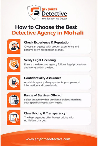 How to Choose the Best Detective Agency in Mohali.jpg