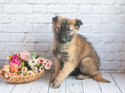 G lTnagW0AAdBaQ?format=jpg.jpg