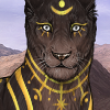 GoldBodyPaint Icon.png